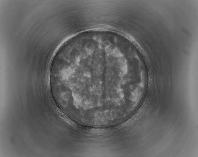 X0000113081232200909250943