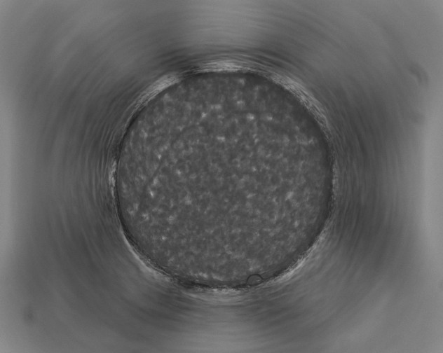 X0000113081233200909250943