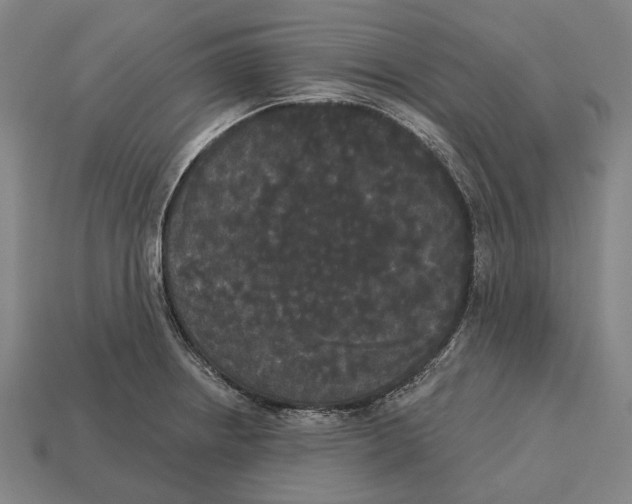 X0000113081234200909250943