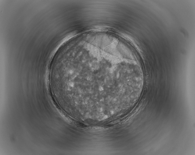 X0000113081235200909250943