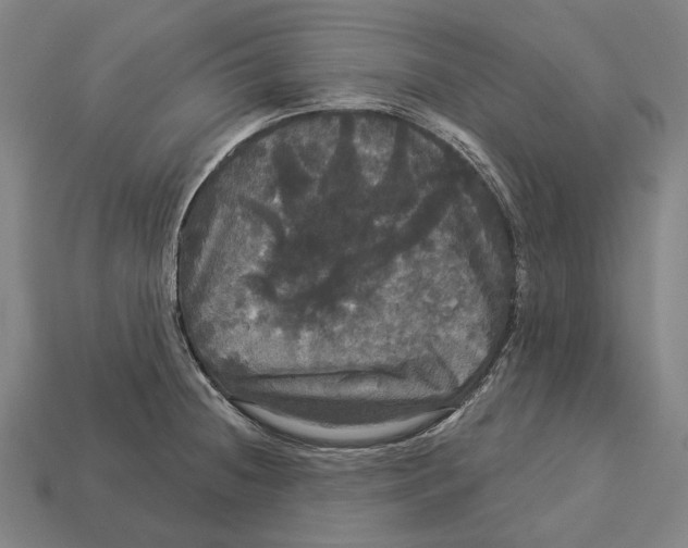 X0000113081236200909250943