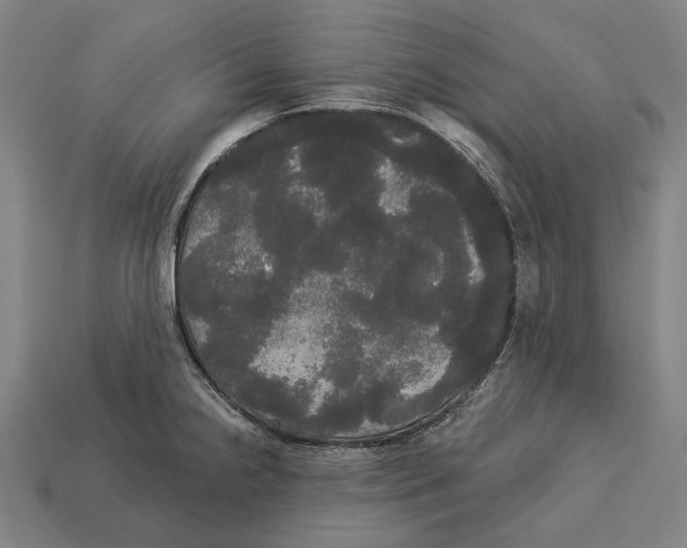 X0000113081238200909250943