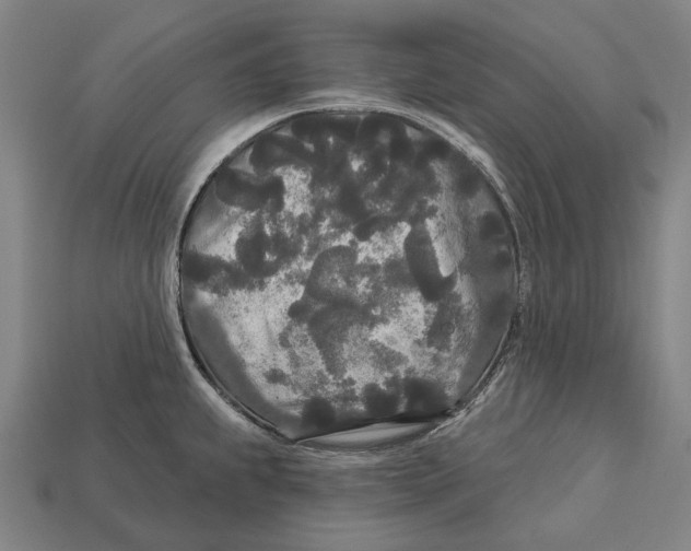 X0000113081239200909250943