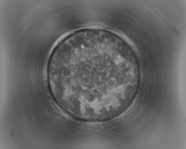 X0000113081240200909250943