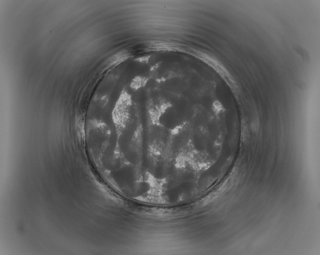 X0000113081241200909250943