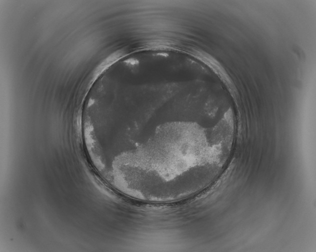 X0000113081242200909250943