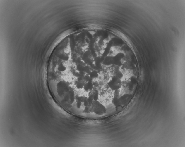X0000113081243200909250943