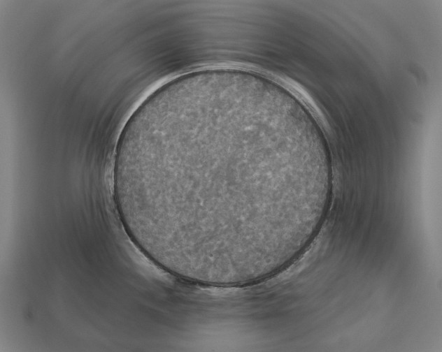 X0000113081244200909250943