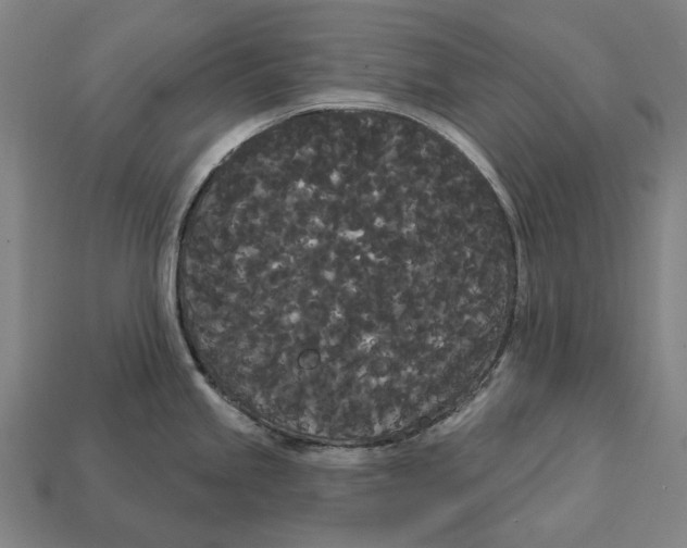 X0000113081245200909250943
