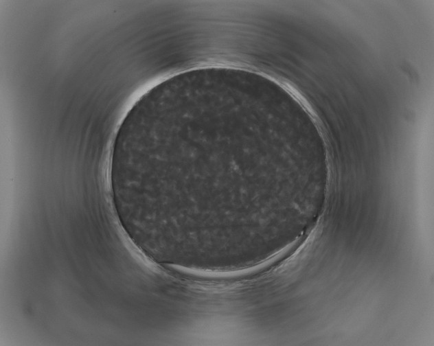 X0000113081246200909250943