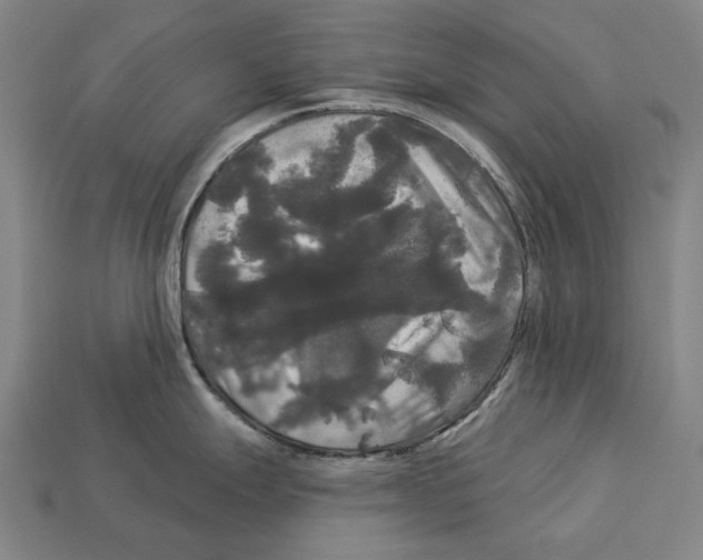 X0000113081247200909250943