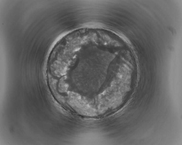 X0000113081248200909250943