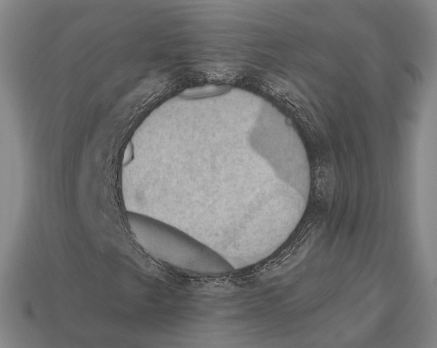 X0000113081249200909250942