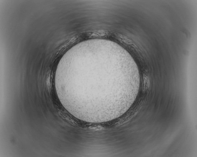X0000113081250200909250942