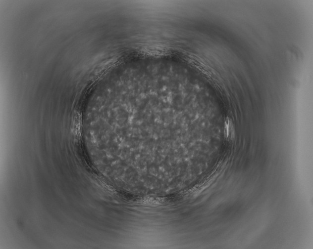 X0000113081251200909250942