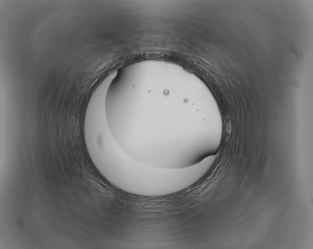 X0000113081252200909250942