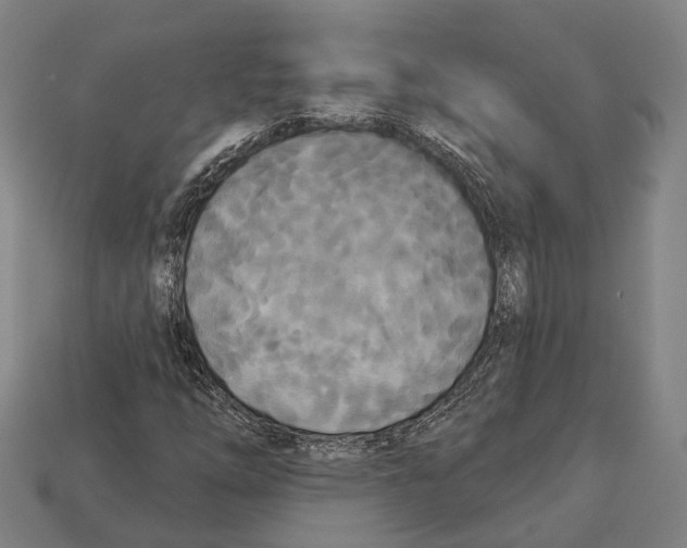 X0000113081254200909250942