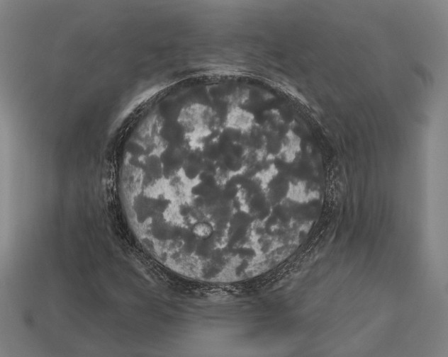 X0000113081255200909250942
