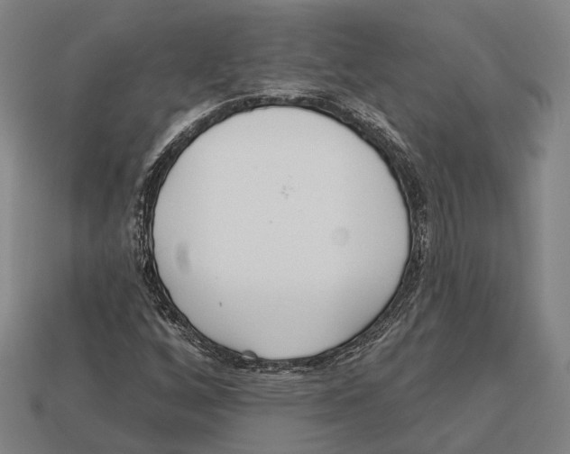 X0000113081256200909250942