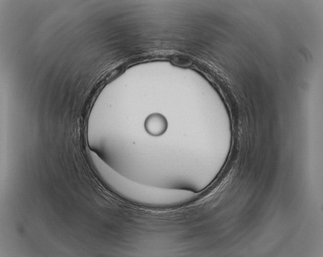 X0000113081257200909250942