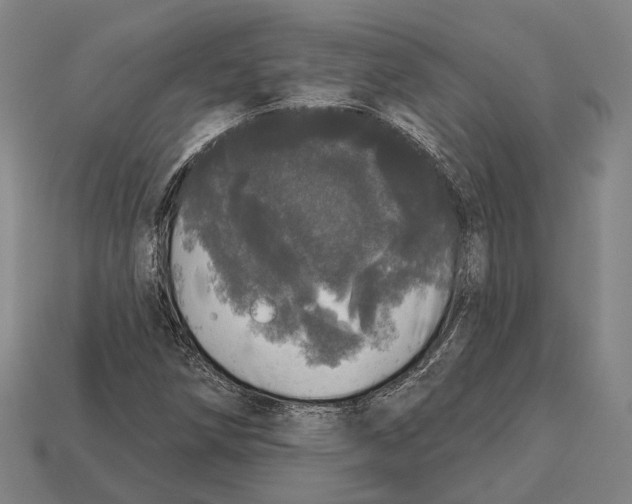 X0000113081258200909250942
