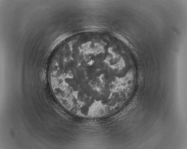 X0000113081259200909250942