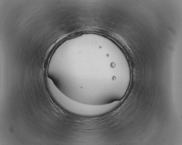 X0000113081260200909250942
