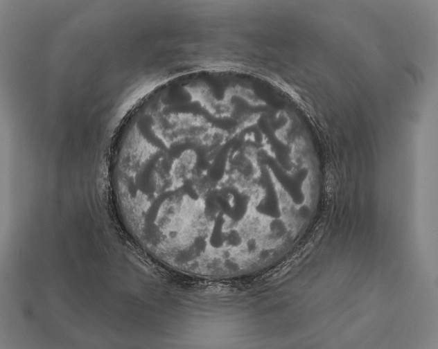 X0000113081263200909250942