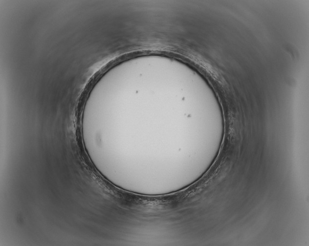 X0000113081264200909250942