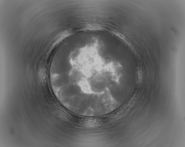 X0000113081266200909250942