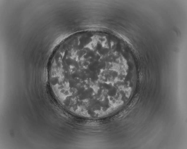 X0000113081267200909250942