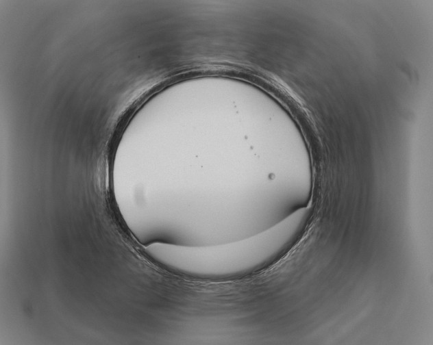 X0000113081269200909250942