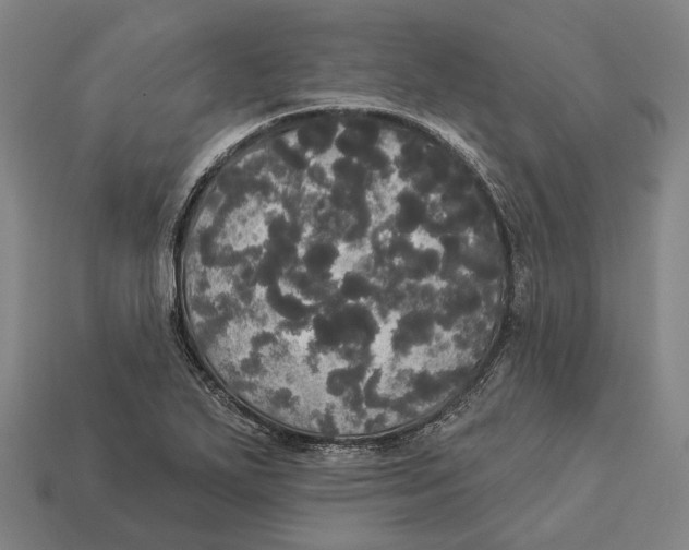 X0000113081271200909250942