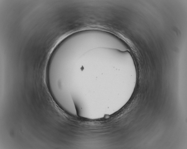 X0000113081272200909250942