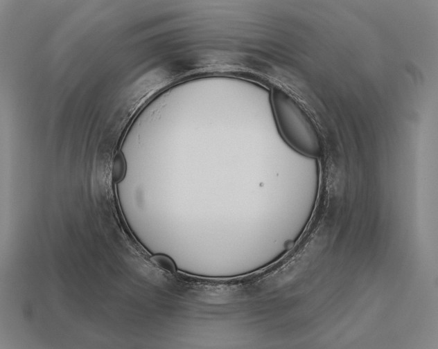 X0000113081273200909250942