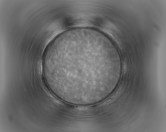 X0000113081274200909250942