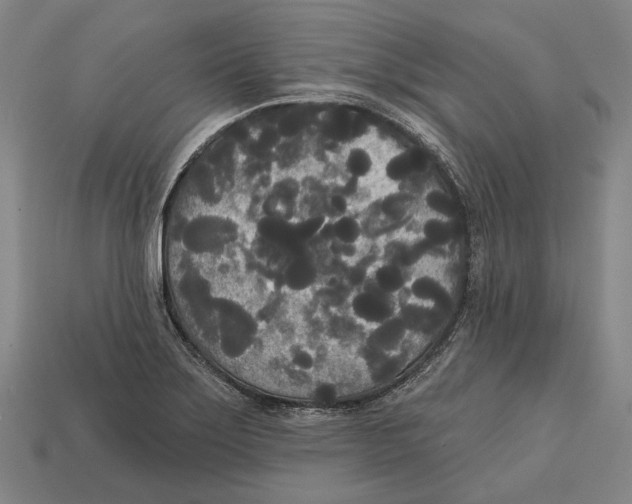 X0000113081275200909250942