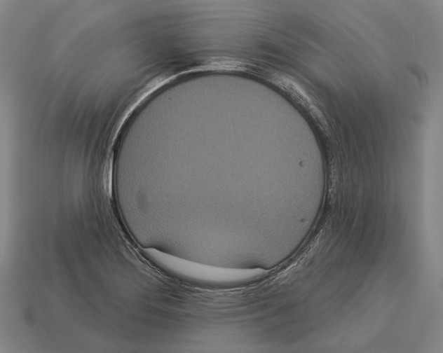 X0000113081276200909250942