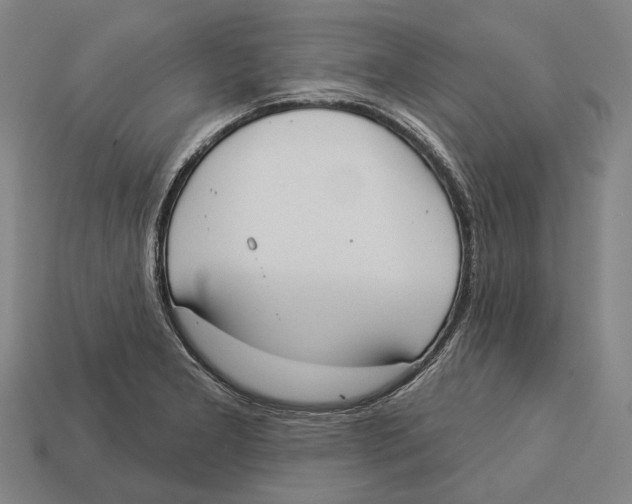 X0000113081277200909250942