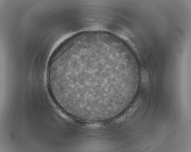 X0000113081278200909250942