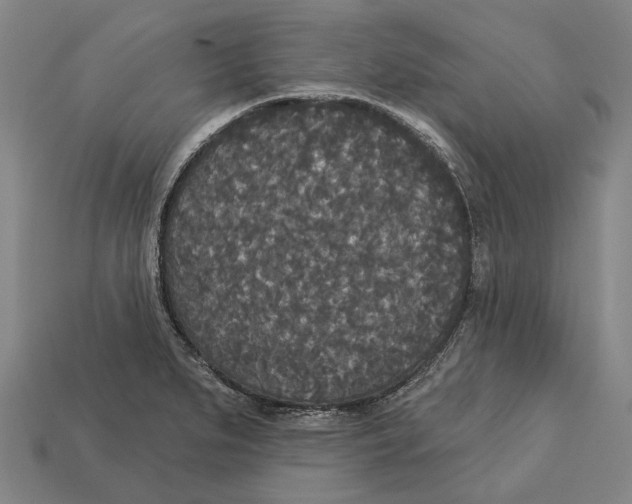 X0000113081279200909250942