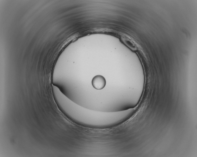 X0000113081281200909250942