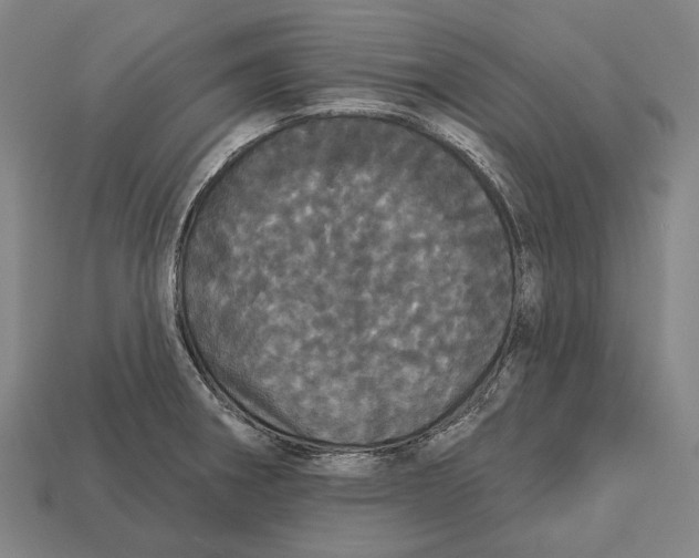 X0000113081282200909250942