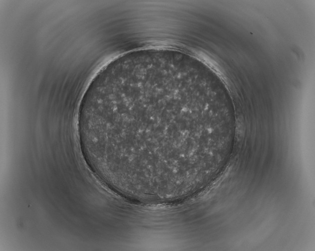 X0000113081283200909250942
