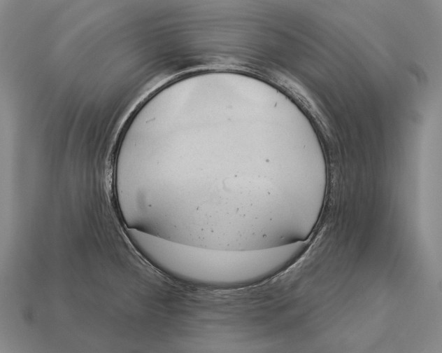 X0000113081284200909250942