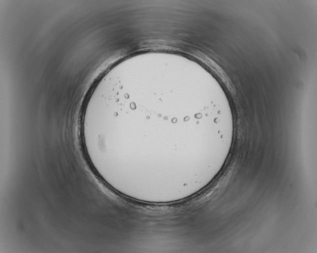 X0000113081285200909250942