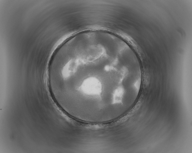 X0000113081286200909250942