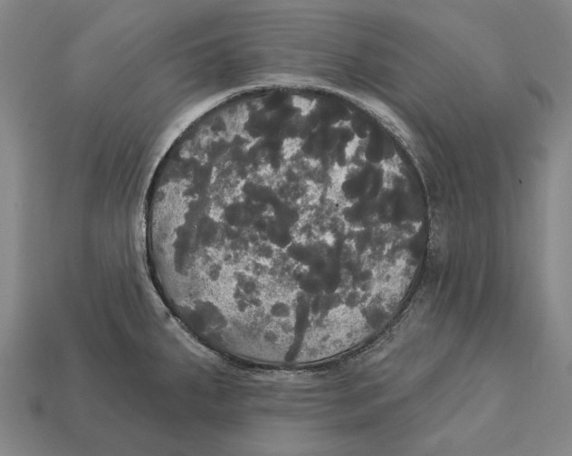 X0000113081287200909250942