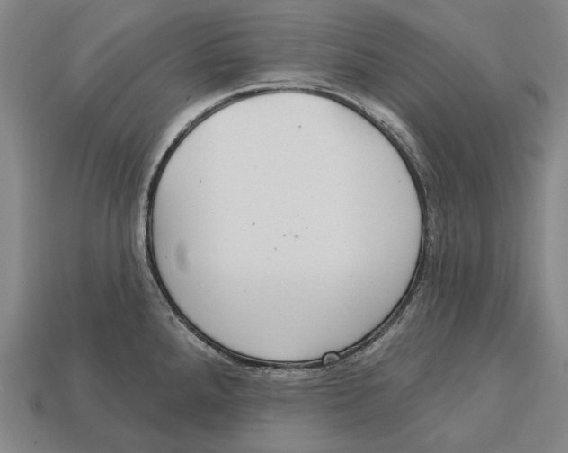 X0000113081288200909250942