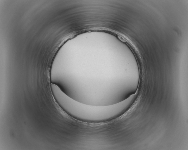 X0000113081289200909250942